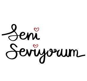 Seni Seviyorum Pankart Çeşitleri