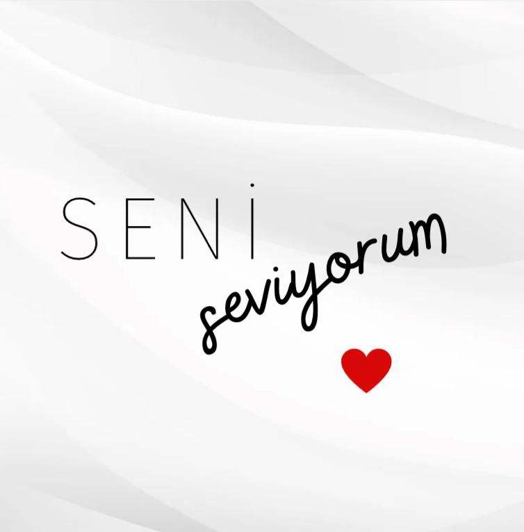 Seni Seviyorum Pankart Çeşitleri